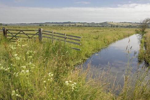 Watercourse flowing through a rural meadow, with a gate on the bank