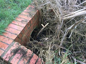 Channel overgrown and blocked at pipe outlet