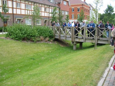 Brigdge over swale with members of community on