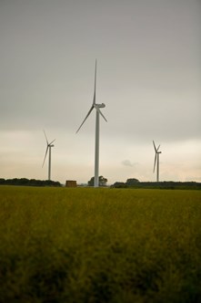 Wind farm, rural field, sunset