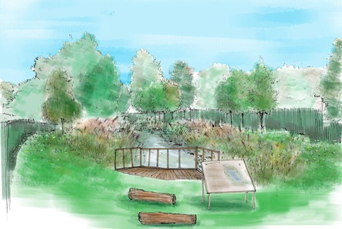 Artist’s impression of pond surrounded by grasses in Preston Academy.