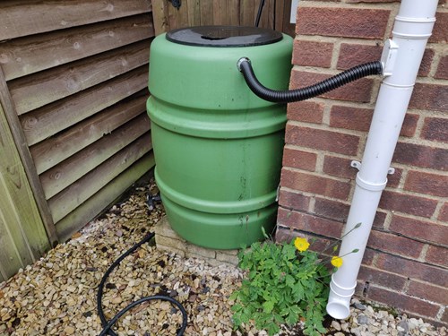 Water butt taking rainwater from house roof