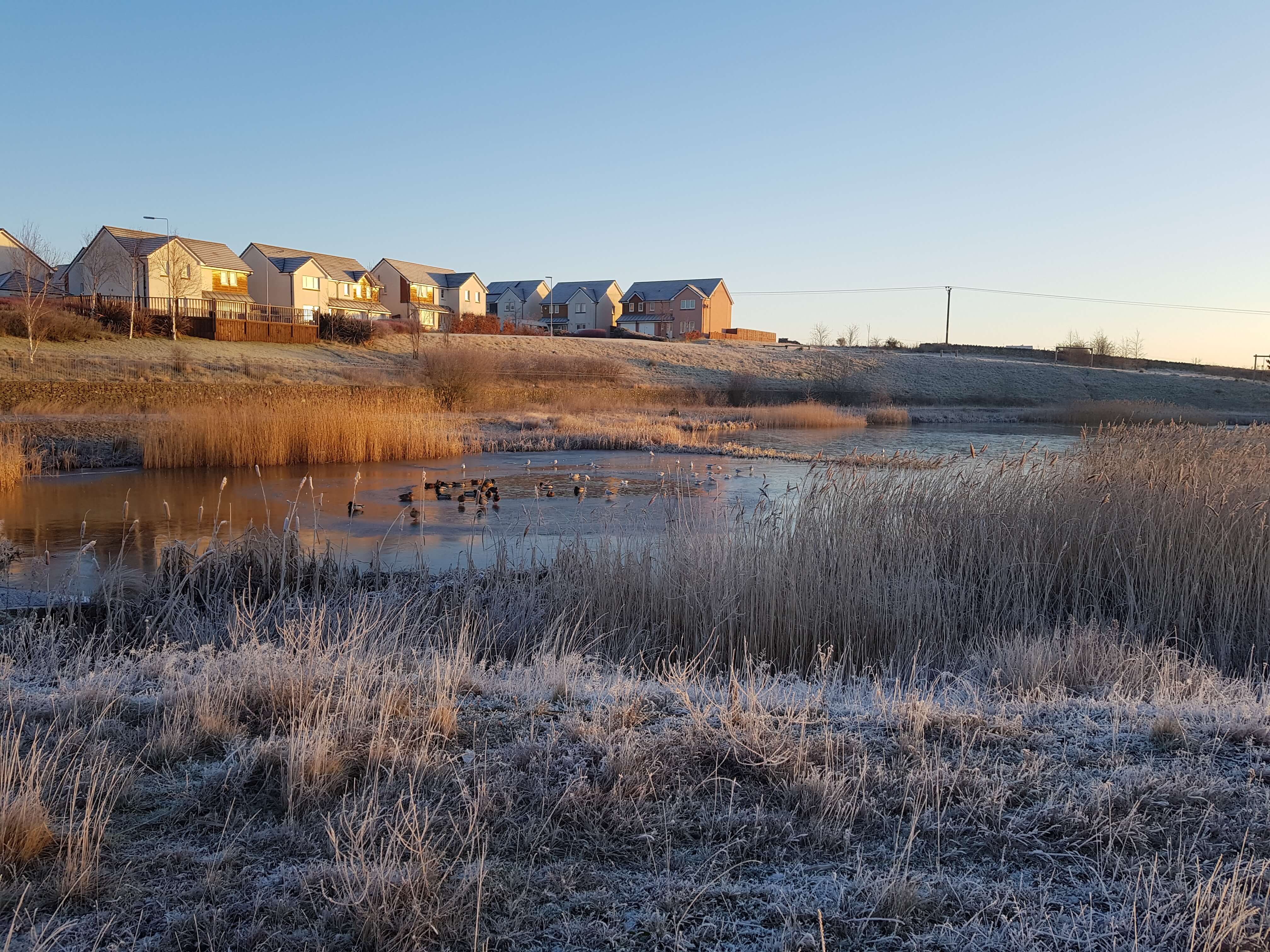 Housing development overlooking a grassy SuDS basin