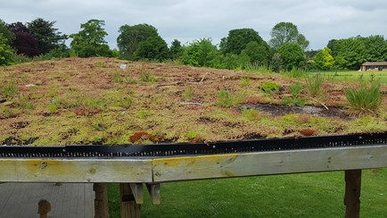 Green roof on wooden structure in play area