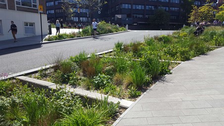 People walking and running next to wide roadside kerb planted with plants, grasses and flowers. 