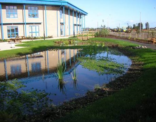 Standing water on grassy area outside apartment block