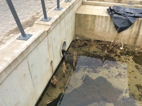 Thick sediment at pipe outlet in concrete-lined watercourse in a new development