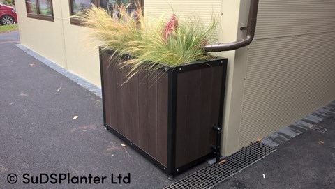 Wooden crate planted with grasses next to a buiding. Pipe from roof drainage connects into the crate.